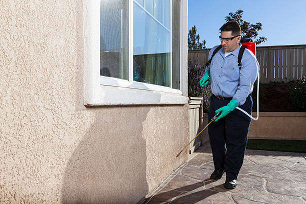 Pest Control for Warehouses in Westway, TX